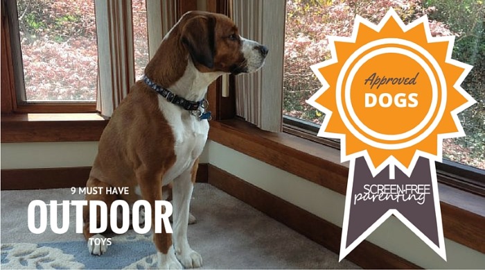 best outdoor toys for dogs